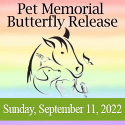 Pet Butterfly Release Memorial Service